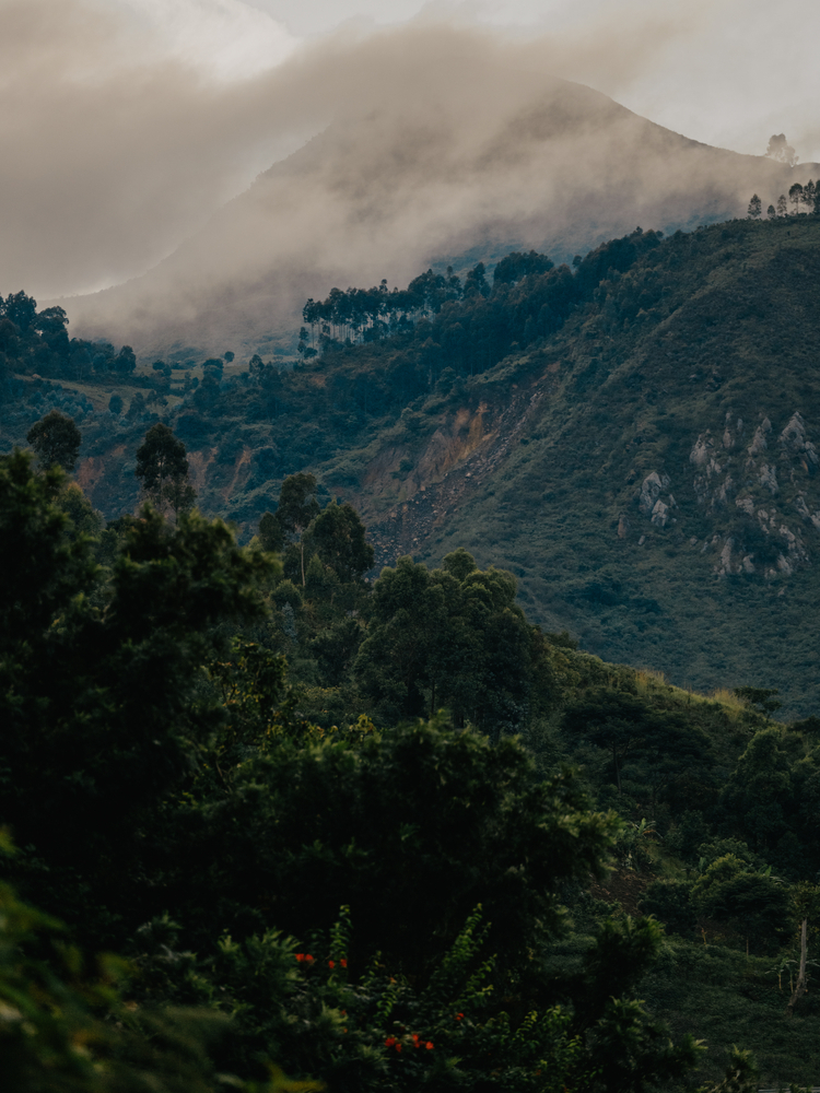 Paysage montagneux dans la zone de Minova, province du Sud-Kivu en République démocratique du Congo ©Hugh Cunningham
